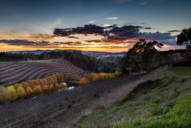 Photo scenic view of agricultural field against sky during sunset