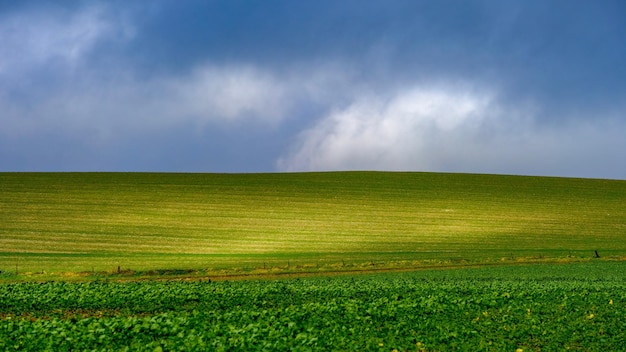 Photo scenic view of agricultural field against sky