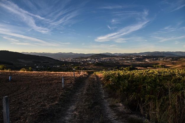 Photo scenic view of agricultural field against sky