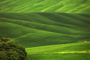 Green landscape photos