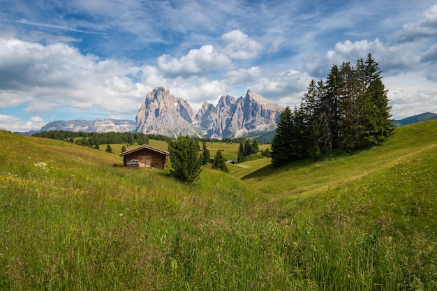 Photo scenic view of alpe di siusi seiser alm with sassolungo langkofel in front of blue sky with clouds