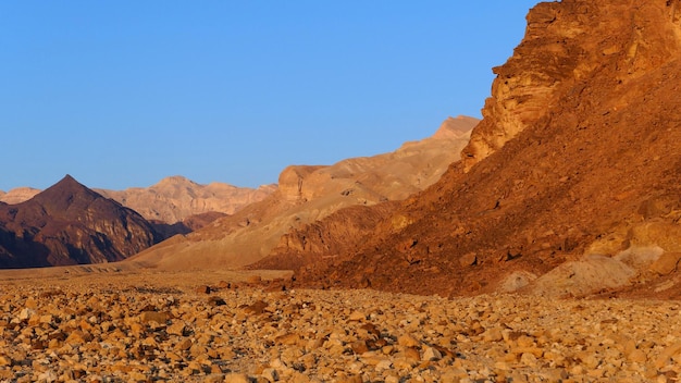 Scenic view of arid desert at sunrise