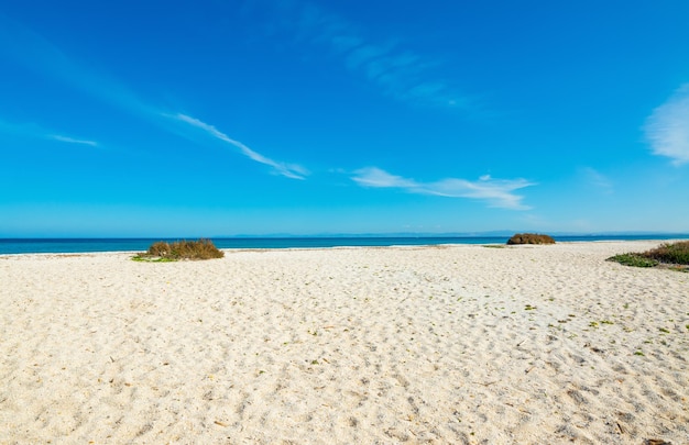 Scenic view of beach against blue sky