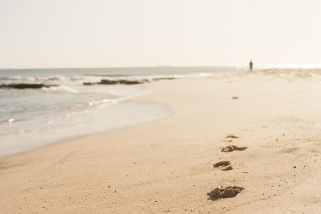 Photo scenic view of beach against clear sky with foot prints in the sand healthy lifestyle concept