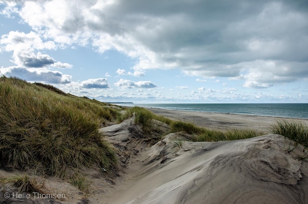 Photo scenic view of beach against sky