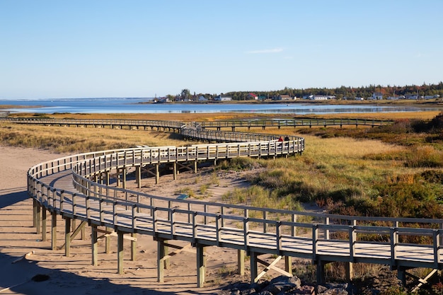 Scenic view of a beautiful sandy beach on the Atlantic Ocean Coast