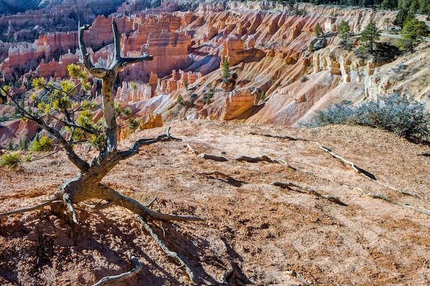 Scenic View of Bryce Canyon