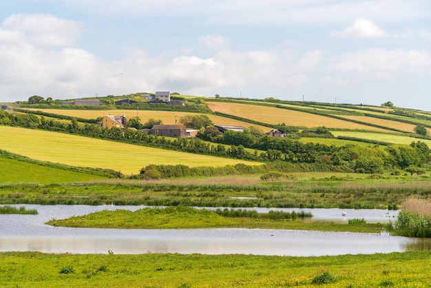 Scenic view of the countryside at South Huish Wetlands Reserve in Devon