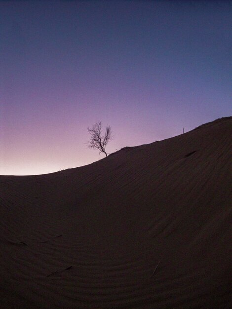 Photo scenic view of desert against clear sky