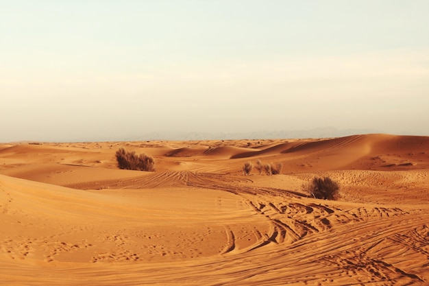 Scenic view of desert against sky