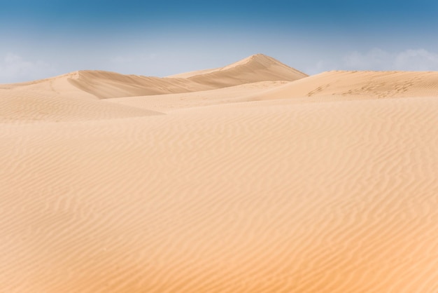 Scenic view of desert against sky