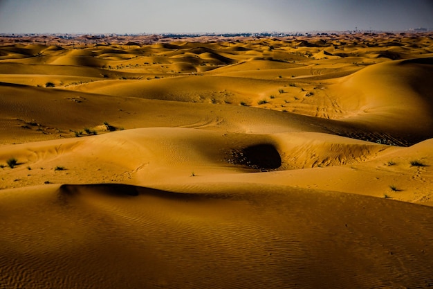 Scenic view of desert