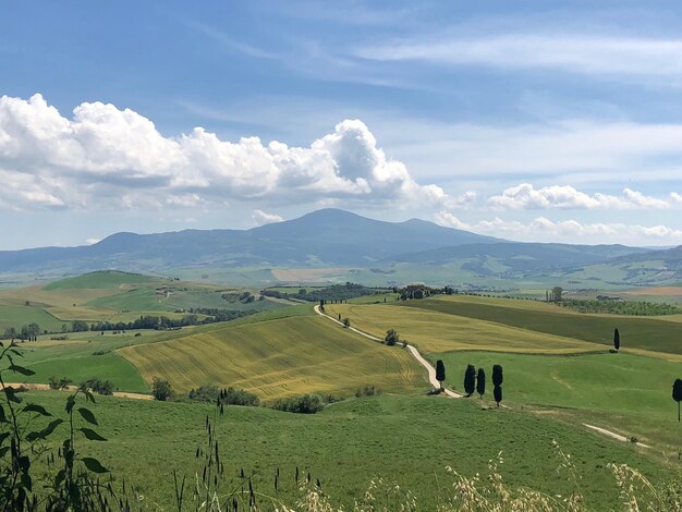 Scenic view of farm against sky