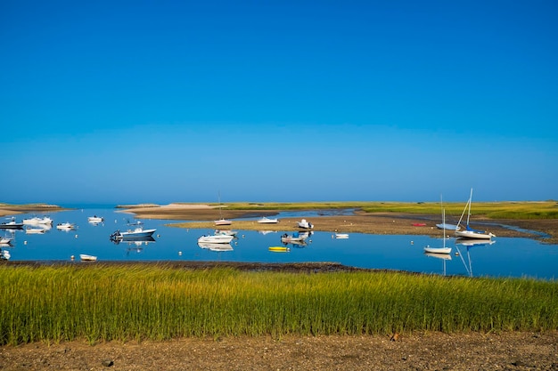 Photo scenic view of field against clear blue sky