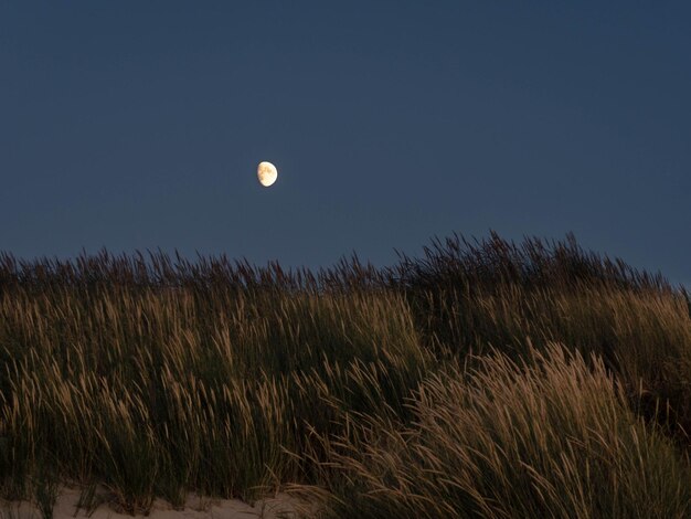 Photo scenic view of field against clear sky at night