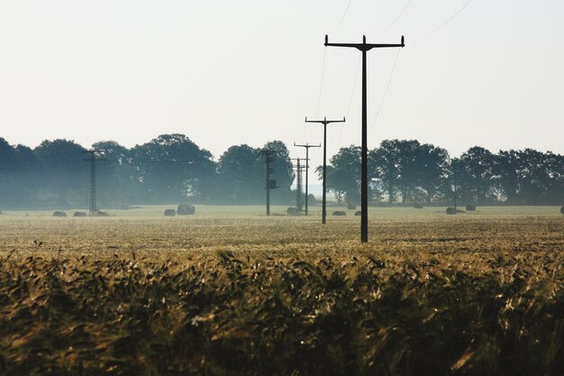 Photo scenic view of field against clear sky