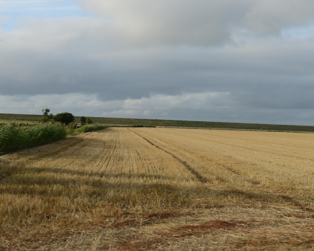 Scenic view of field against cloudy sky