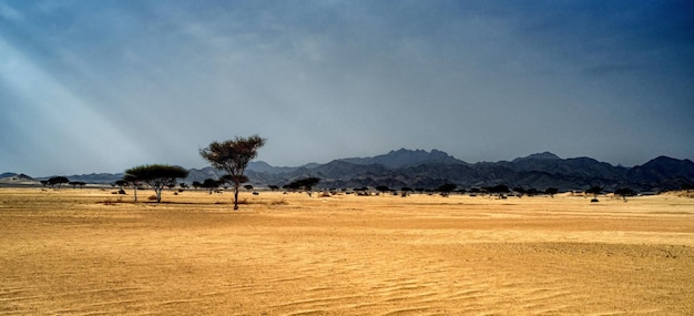 Photo scenic view of field against sky