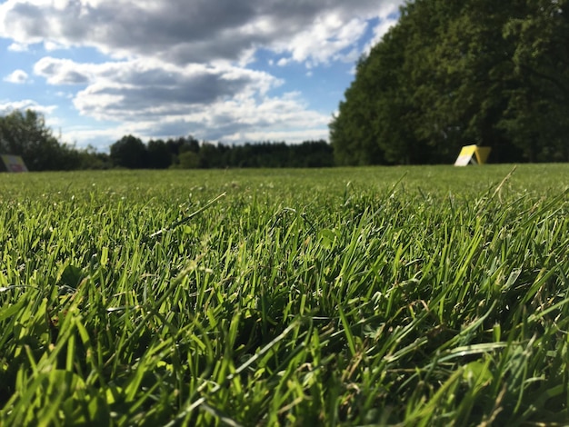 Photo scenic view of field against sky