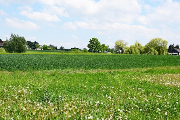 Photo scenic view of field against sky