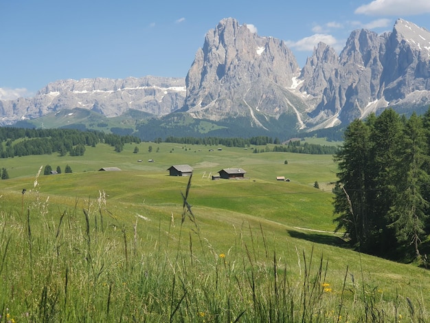 Scenic view of field and mountains against sky