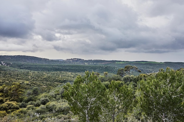 Scenic view from mount carmel in haifa with coniferous and deciduous trees and storm clouds