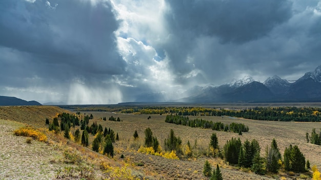 Scenic View of the Grand Teton National Park