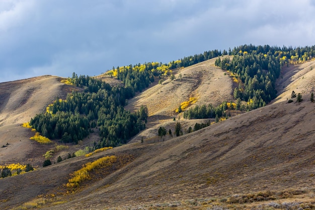 Scenic view of the Grand Teton National Park