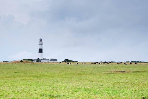 Photo scenic view of grassy field against cloudy sky