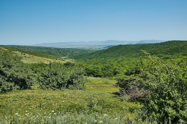 Scenic view of green meadows big mountain Dagestan