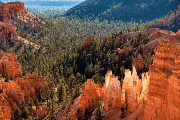 Photo scenic view into bryce canyon