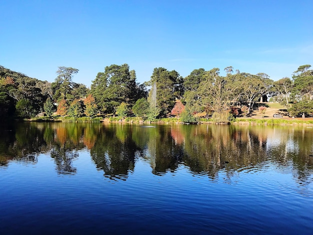 Scenic view of lake against clear blue sky