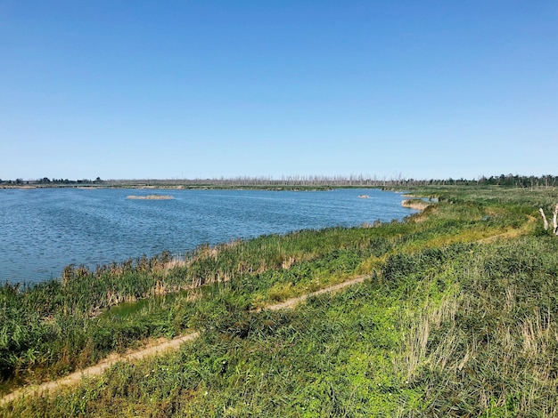 Photo scenic view of lake against clear sky