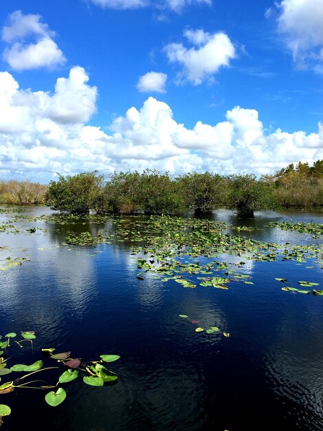 Photo scenic view of lake against sky