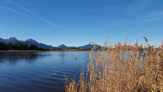 Scenic view of lake by mountains against blue sky