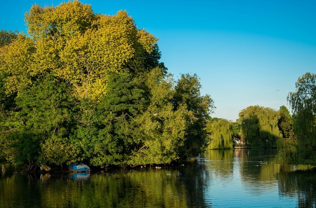 Photo scenic view of lake by trees against sky