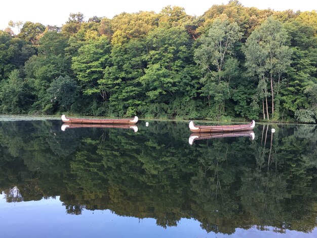 Photo scenic view of lake by trees in forest