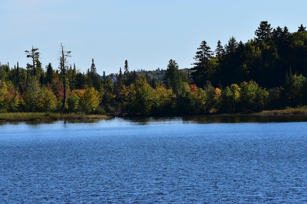 Photo scenic view of lake in forest against sky