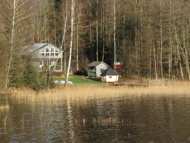 Scenic view of lake in forest