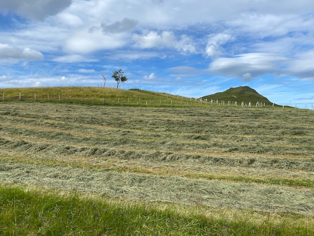 Photo scenic view of land against sky and mountain