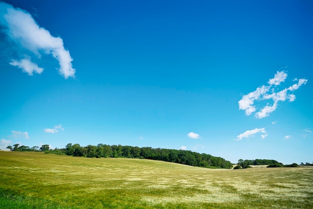 Photo scenic view of landscape against blue sky