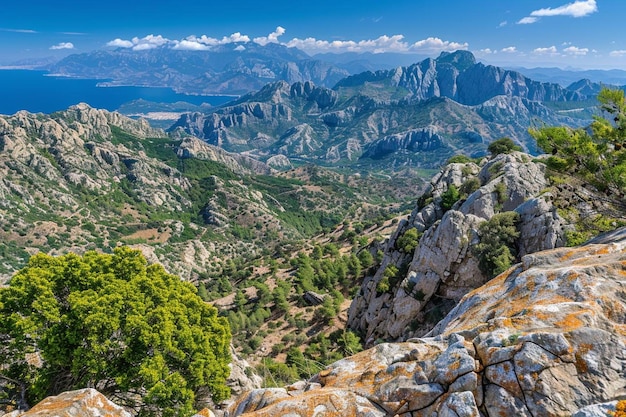 Scenic view of landscape against mountains and sky