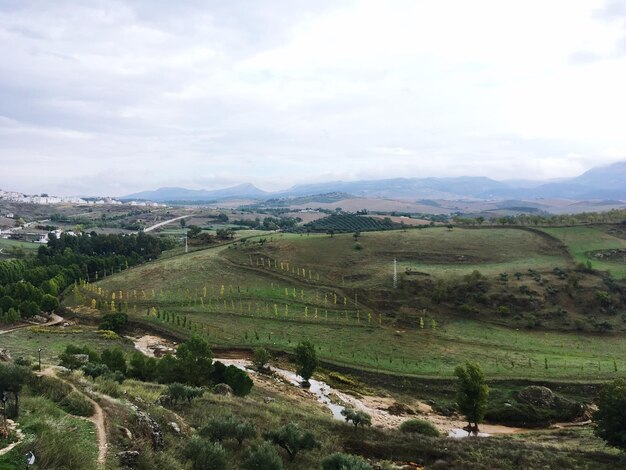 Scenic view of landscape against sky