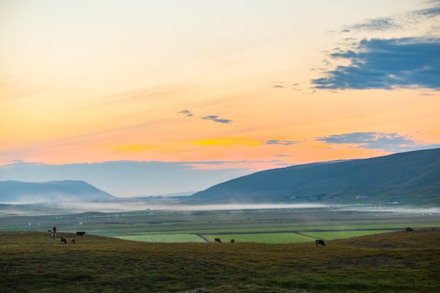 Scenic view of morning at farm Agricultural in Iceland, North Iceland