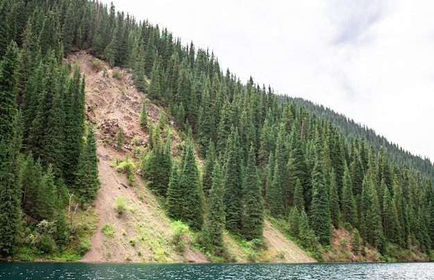 Scenic view of a mountain lake surrounded by dense pine forest