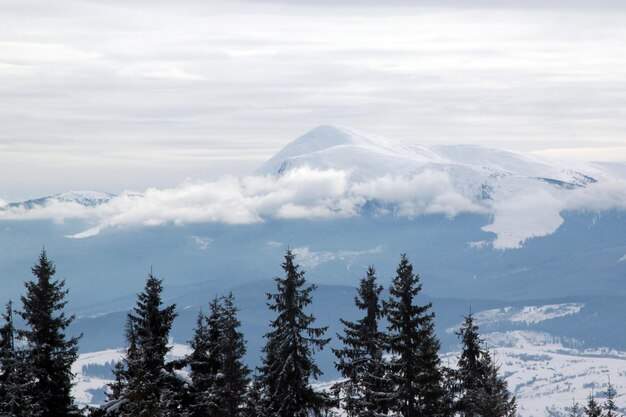 Scenic view of mountain peak in the Carpathians