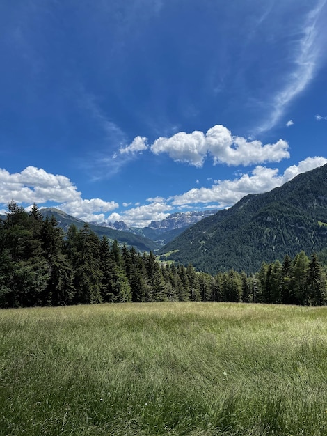 Scenic view of mountains valley forest sky with clouds Landscape