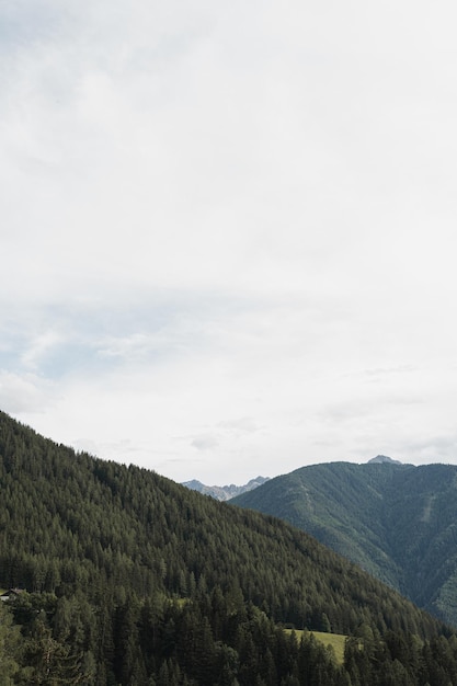 Scenic view of mountains valley forest sky with clouds Landscape