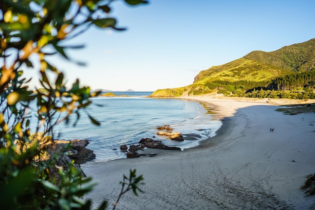 Scenic view of the Ocean Beach and green cliffs on a sunny day. Hawke's Bay, New Zealand