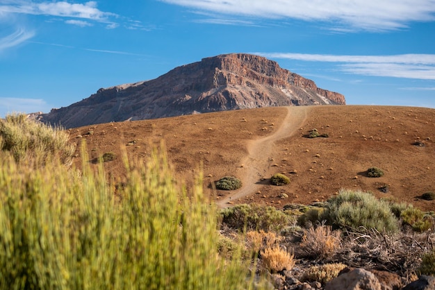 Photo scenic view of plant and mountain against sky